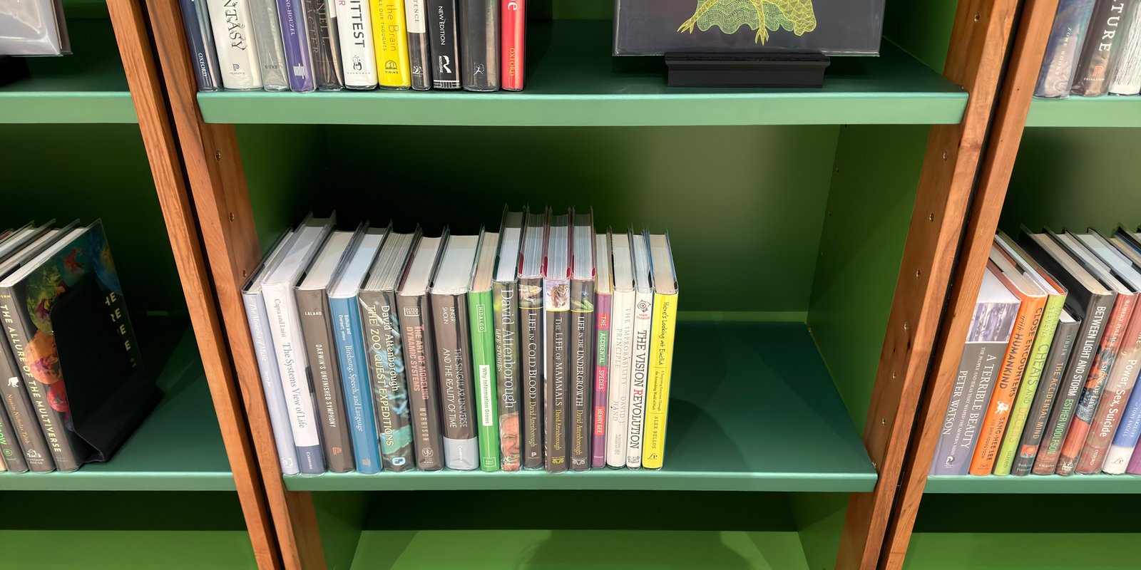 Shelfie Capture from May 14, 2026 3:04 PM