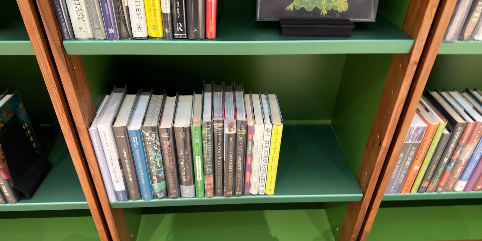 Shelfie Capture from May 14, 2026 3:10 PM