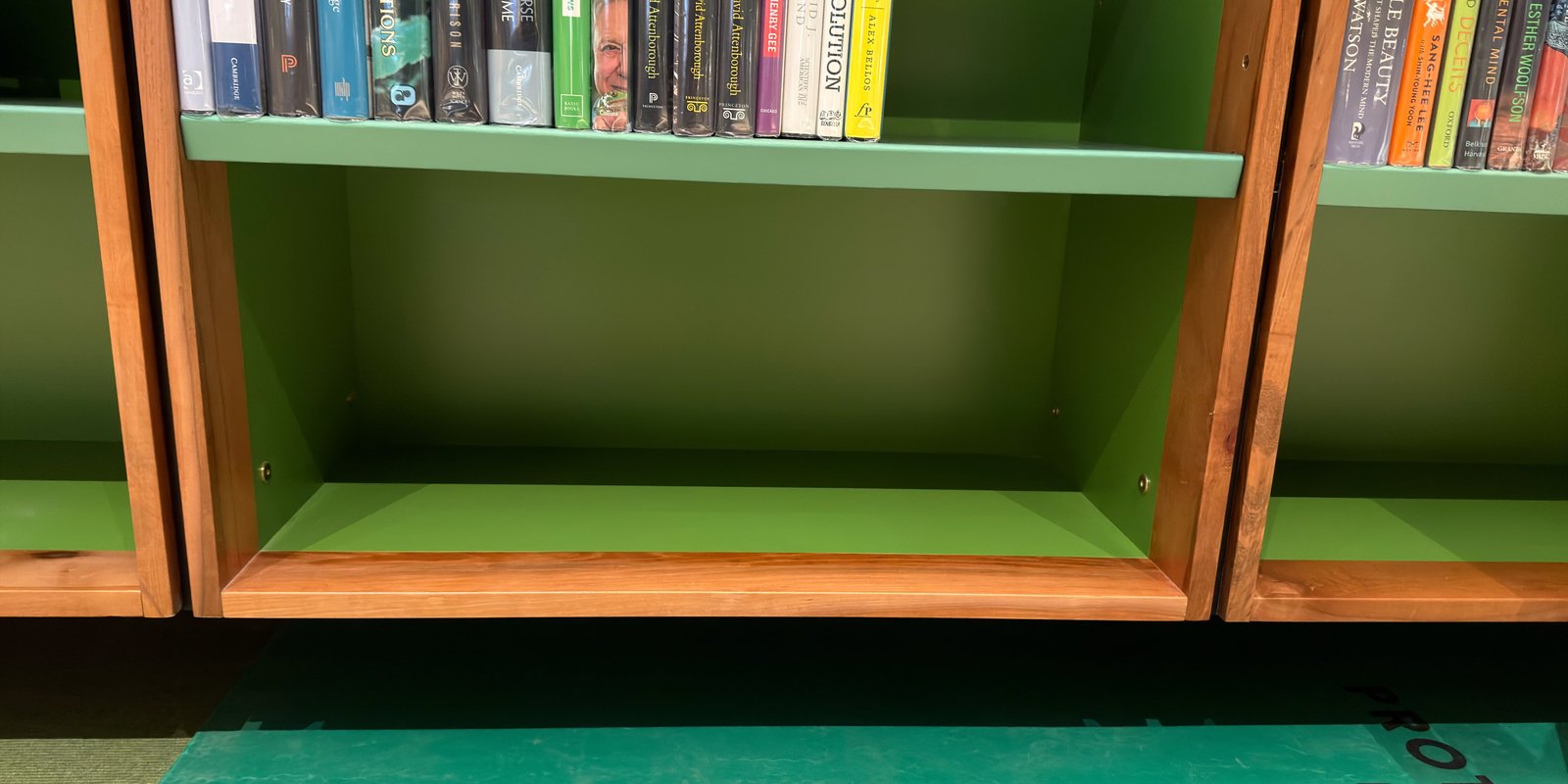 Shelfie Capture from May 14, 2026 1:01 PM