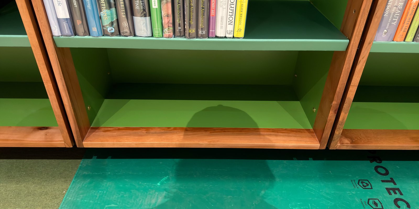 Shelfie Capture from May 14, 2026 3:04 PM
