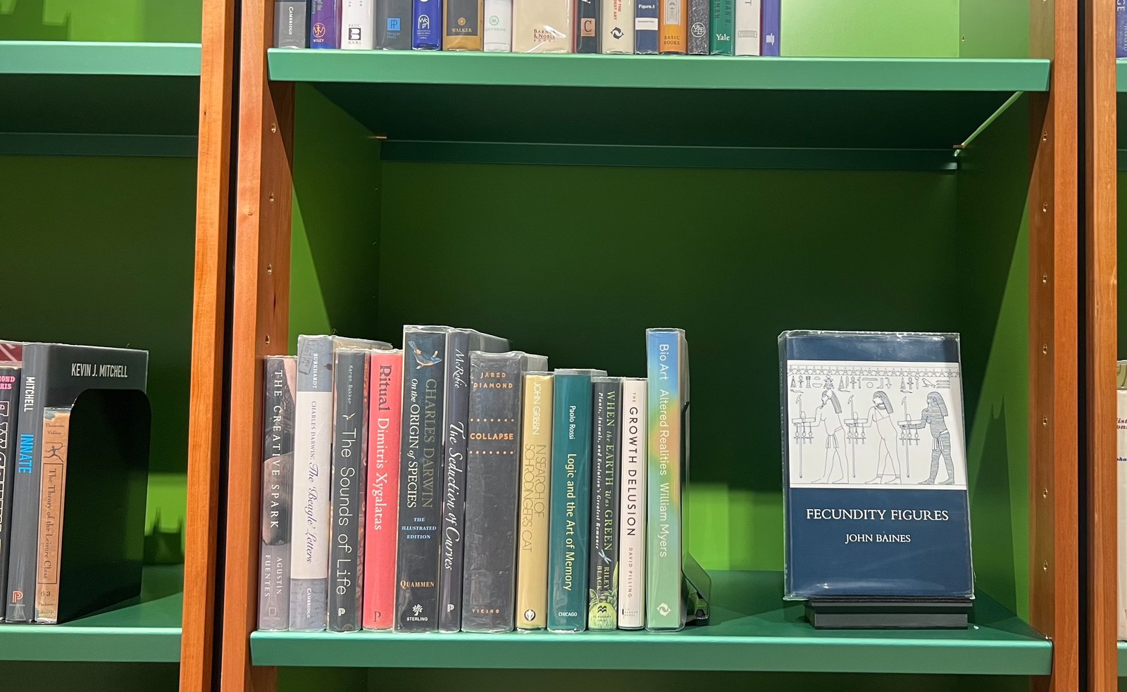 Shelfie Capture from May 18, 2026 10:41 AM