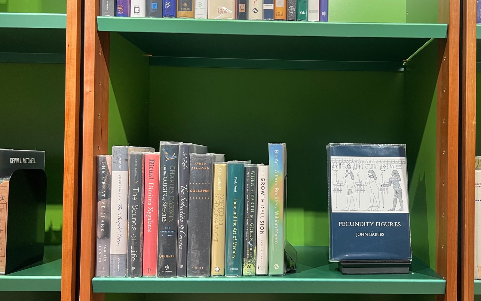 Shelfie Capture from May 18, 2026 10:41 AM