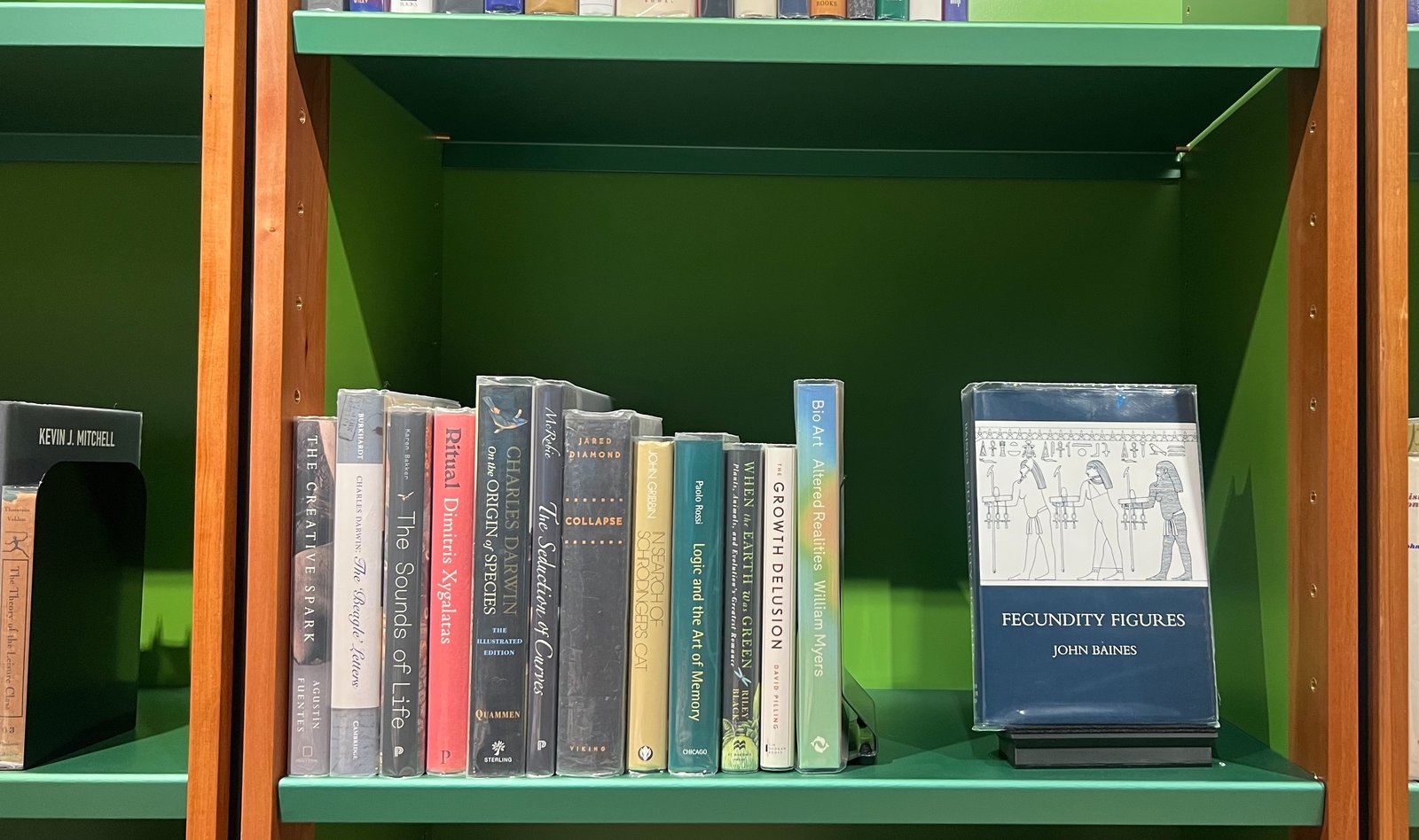 Shelfie Capture from May 18, 2026 10:41 AM