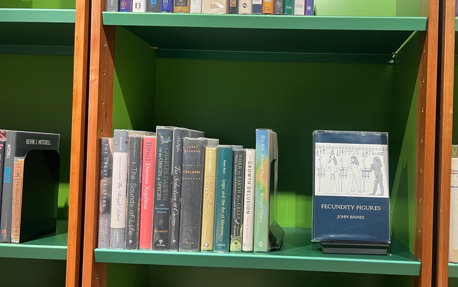 Shelfie Capture from May 18, 2026 10:42 AM