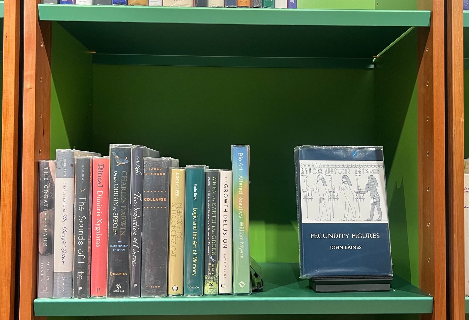 Shelfie Capture from May 18, 2026 10:42 AM