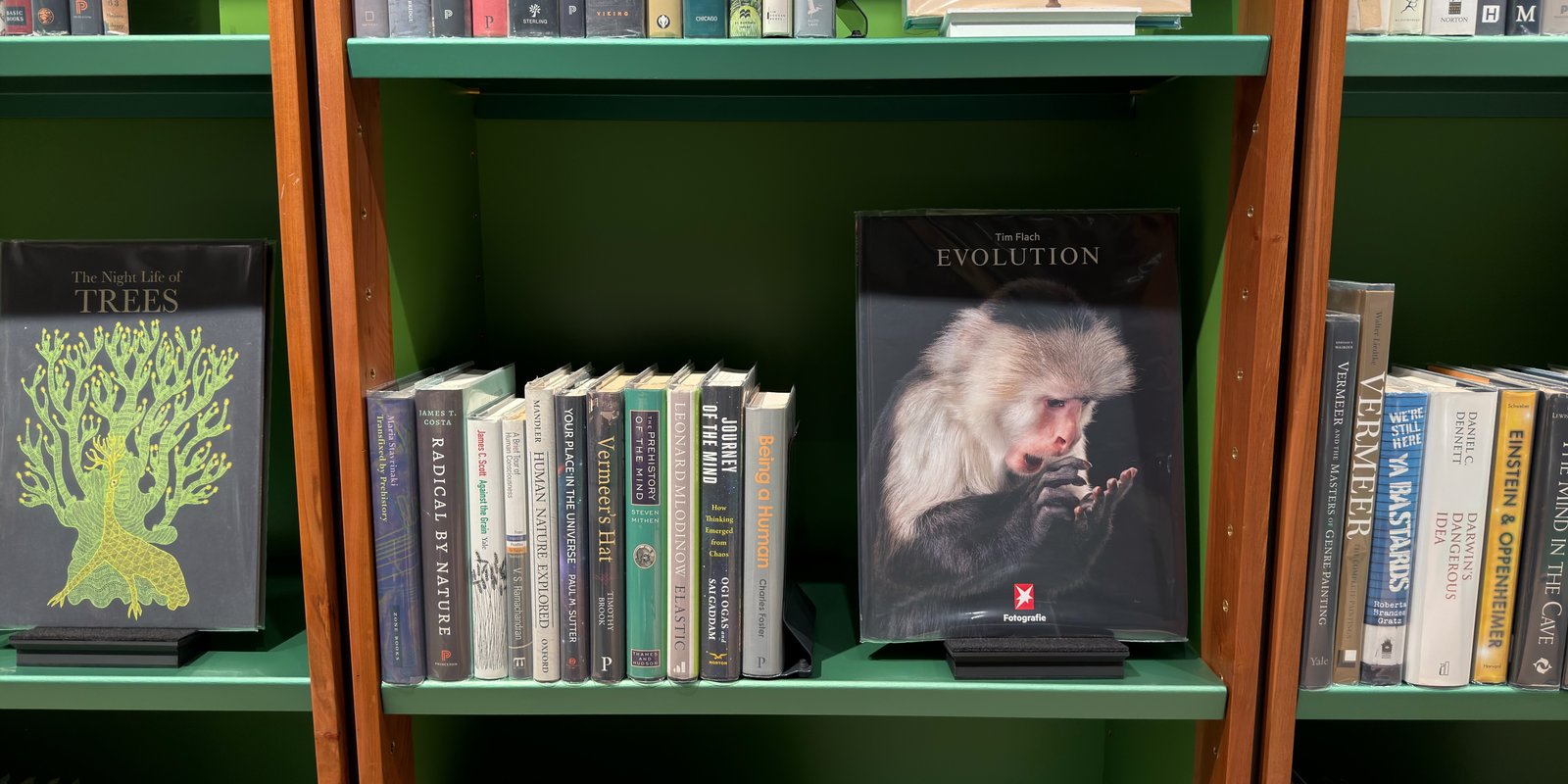 Shelfie Capture from May 12, 2026 4:49 PM