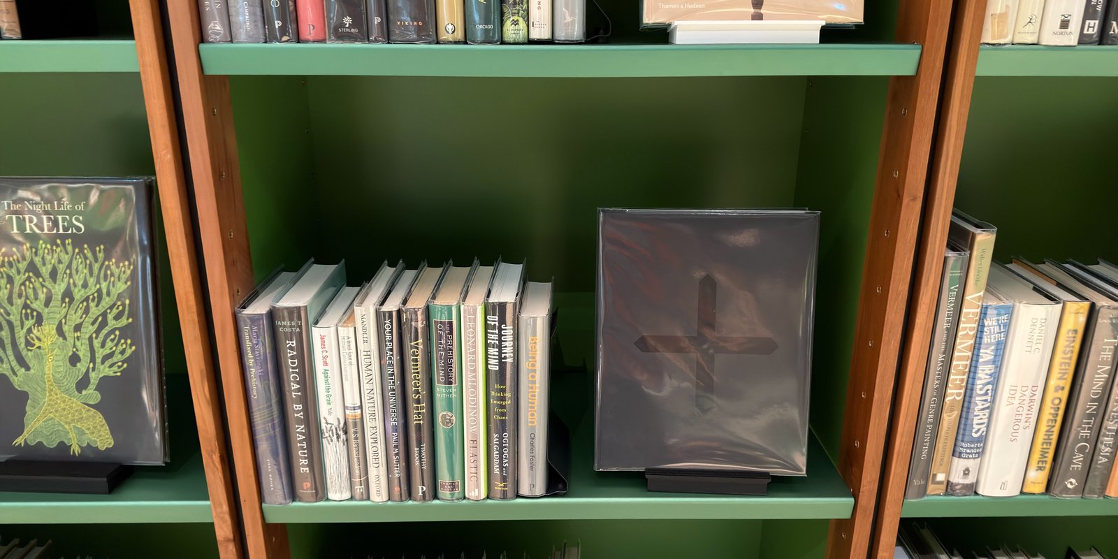 Shelfie Capture from May 14, 2026 3:04 PM
