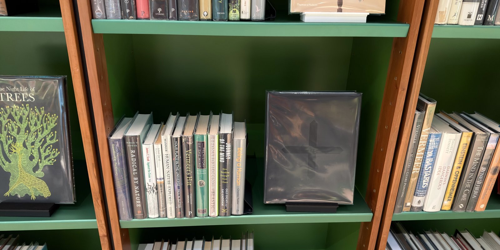 Shelfie Capture from May 14, 2026 3:10 PM