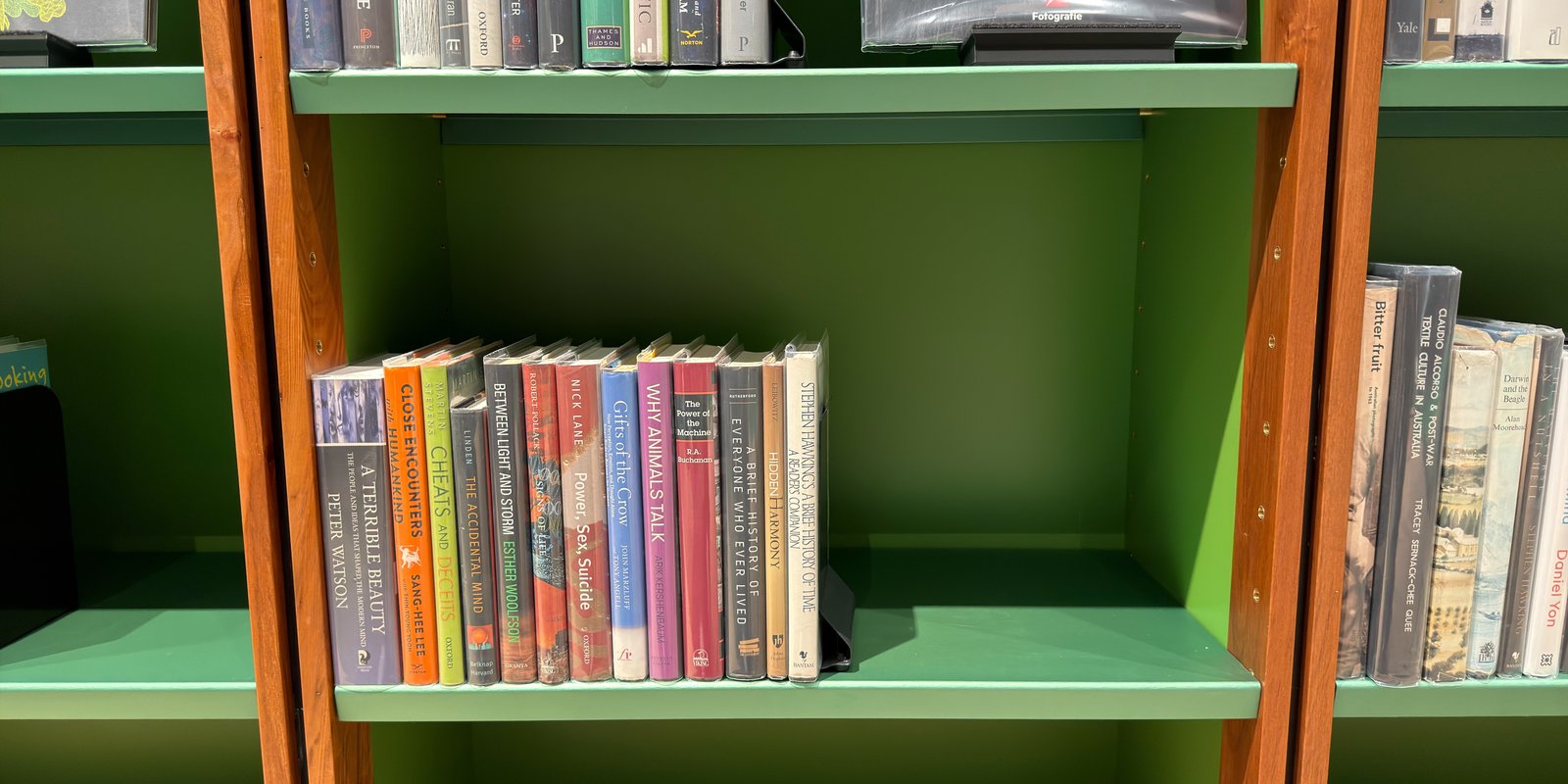 Shelfie Capture from May 12, 2026 4:49 PM