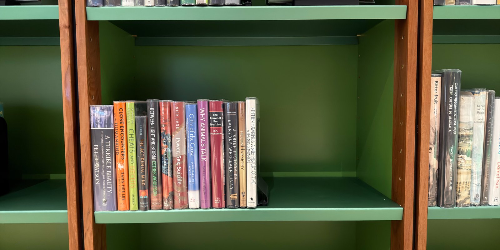 Shelfie Capture from May 14, 2026 1:02 PM