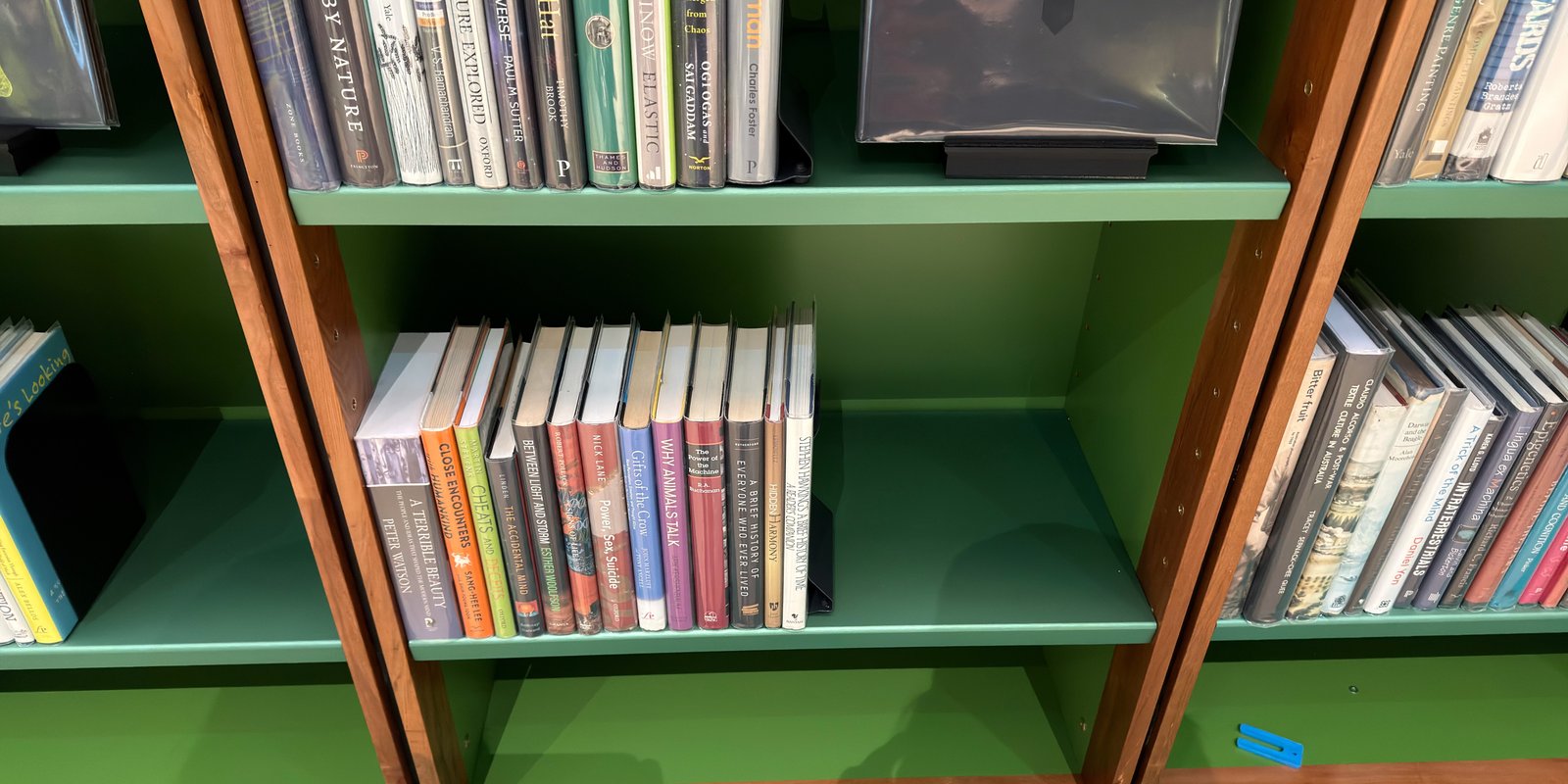 Shelfie Capture from May 14, 2026 3:10 PM