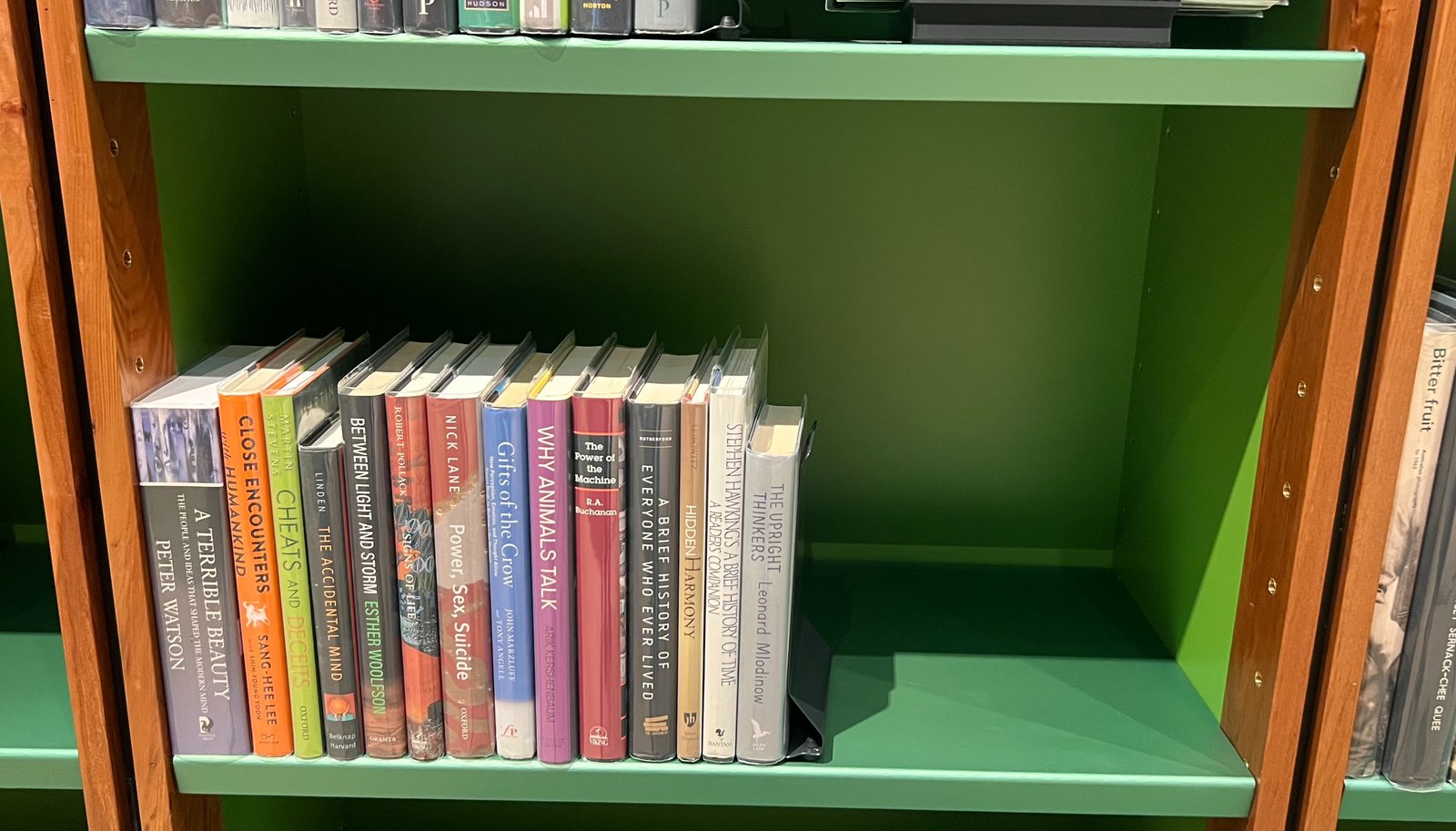 Shelfie Capture from May 18, 2026 10:42 AM