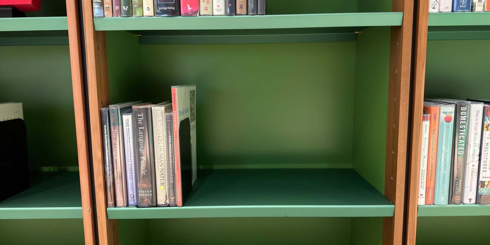 Shelfie Capture from May 14, 2026 1:03 PM