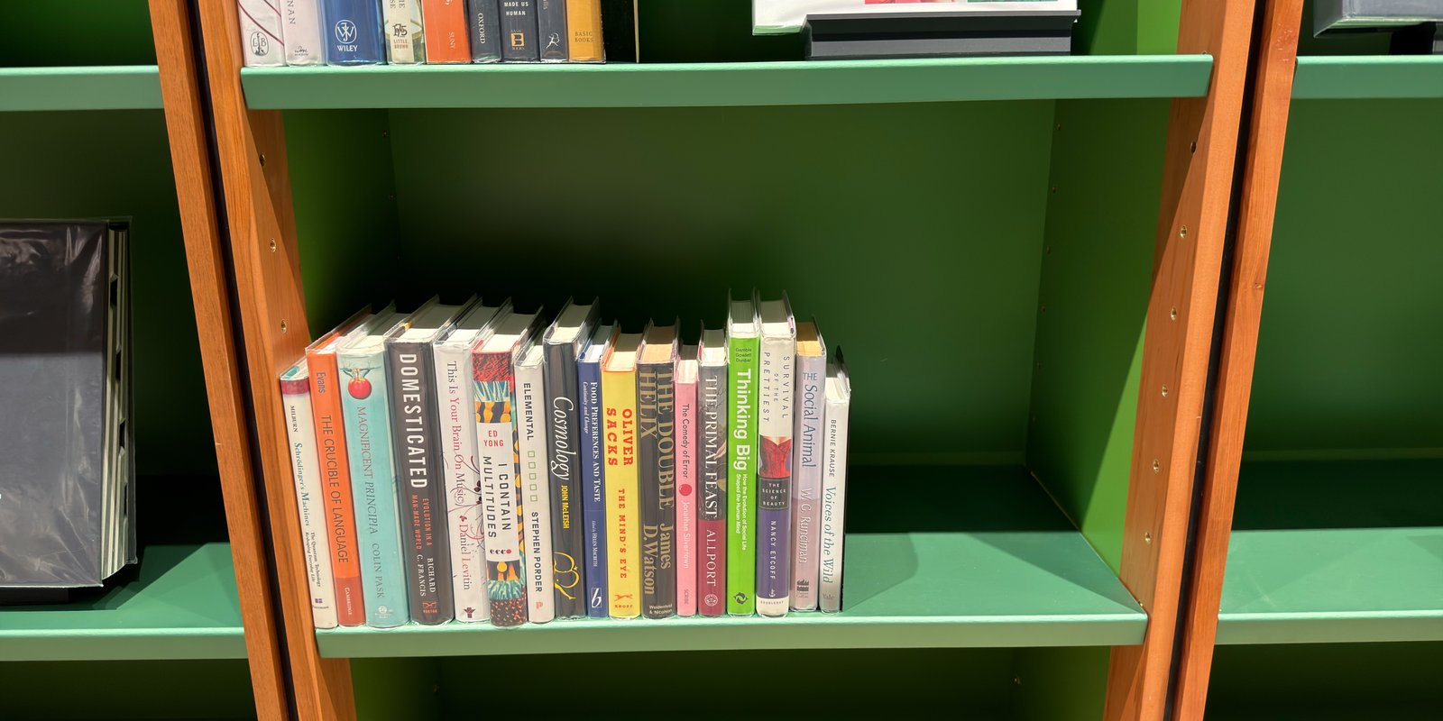 Shelfie Capture from May 12, 2026 4:51 PM