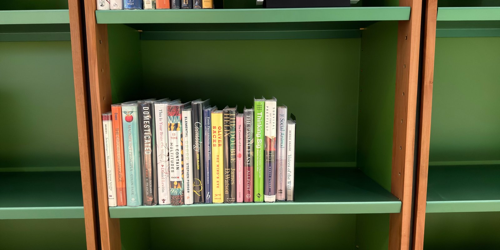 Shelfie Capture from May 14, 2026 1:03 PM