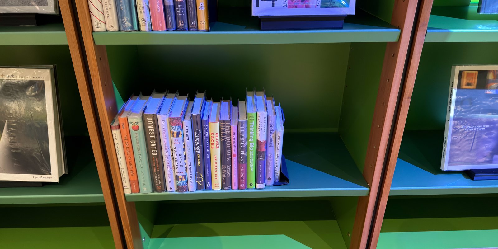 Shelfie Capture from May 15, 2026 12:59 PM