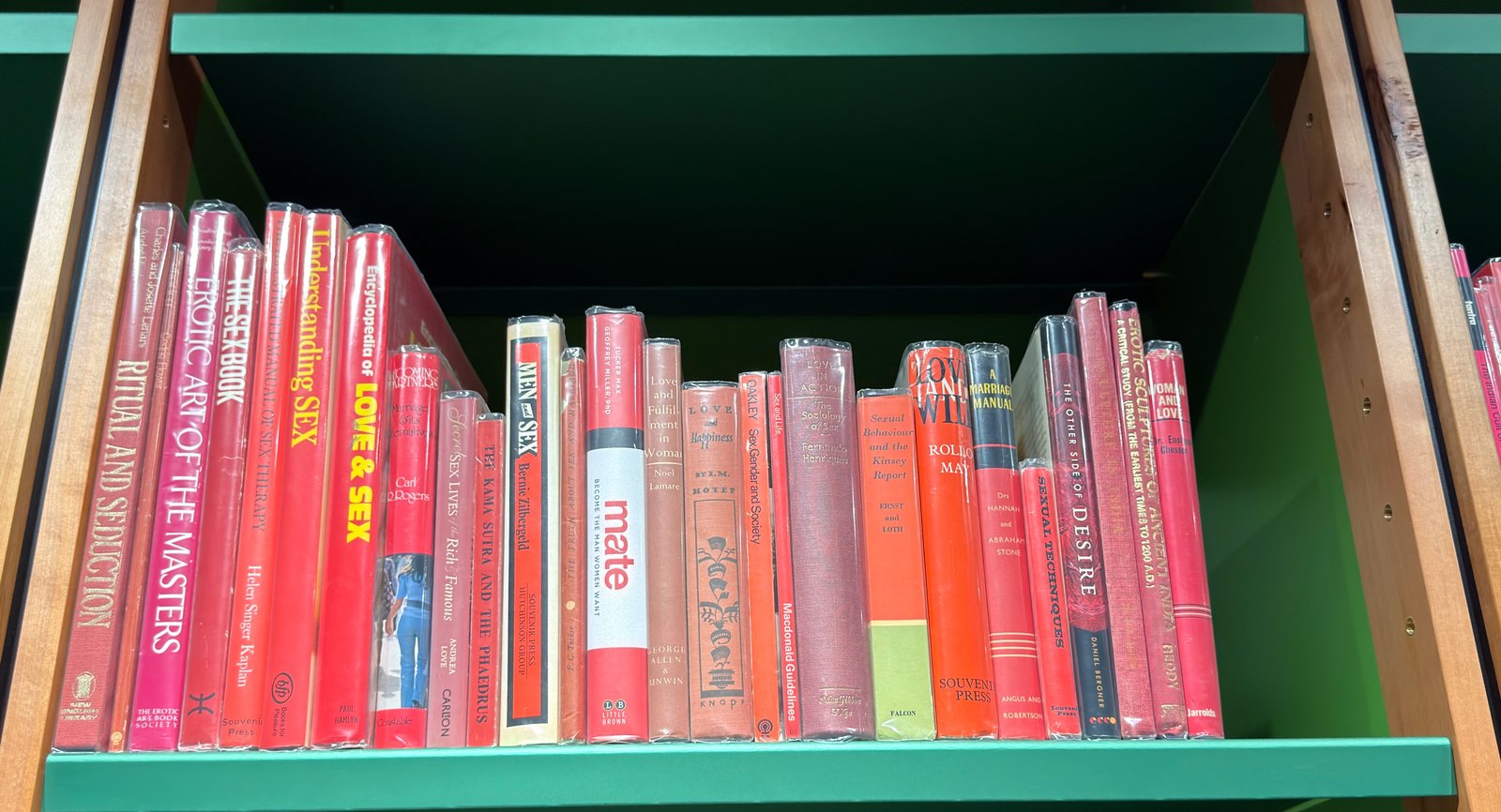 Shelfie Capture from Jun 16, 2026 2:45 PM