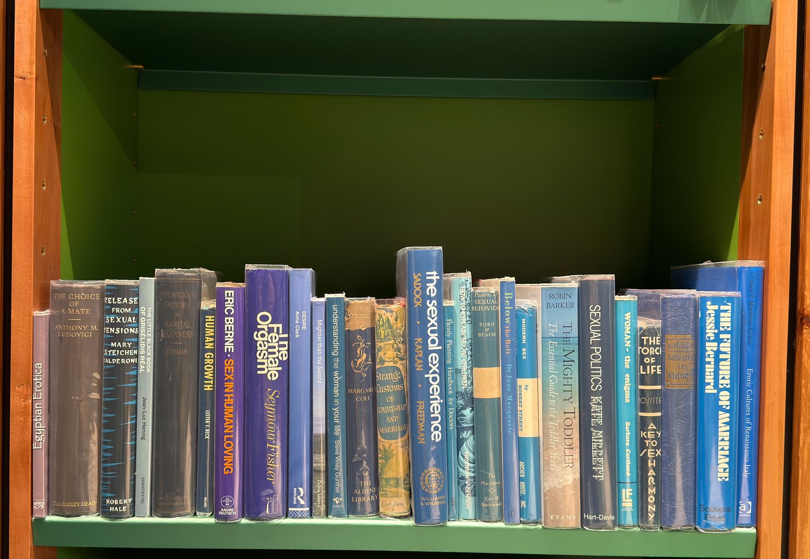 Shelfie Capture from Jun 4, 2026 5:13 PM