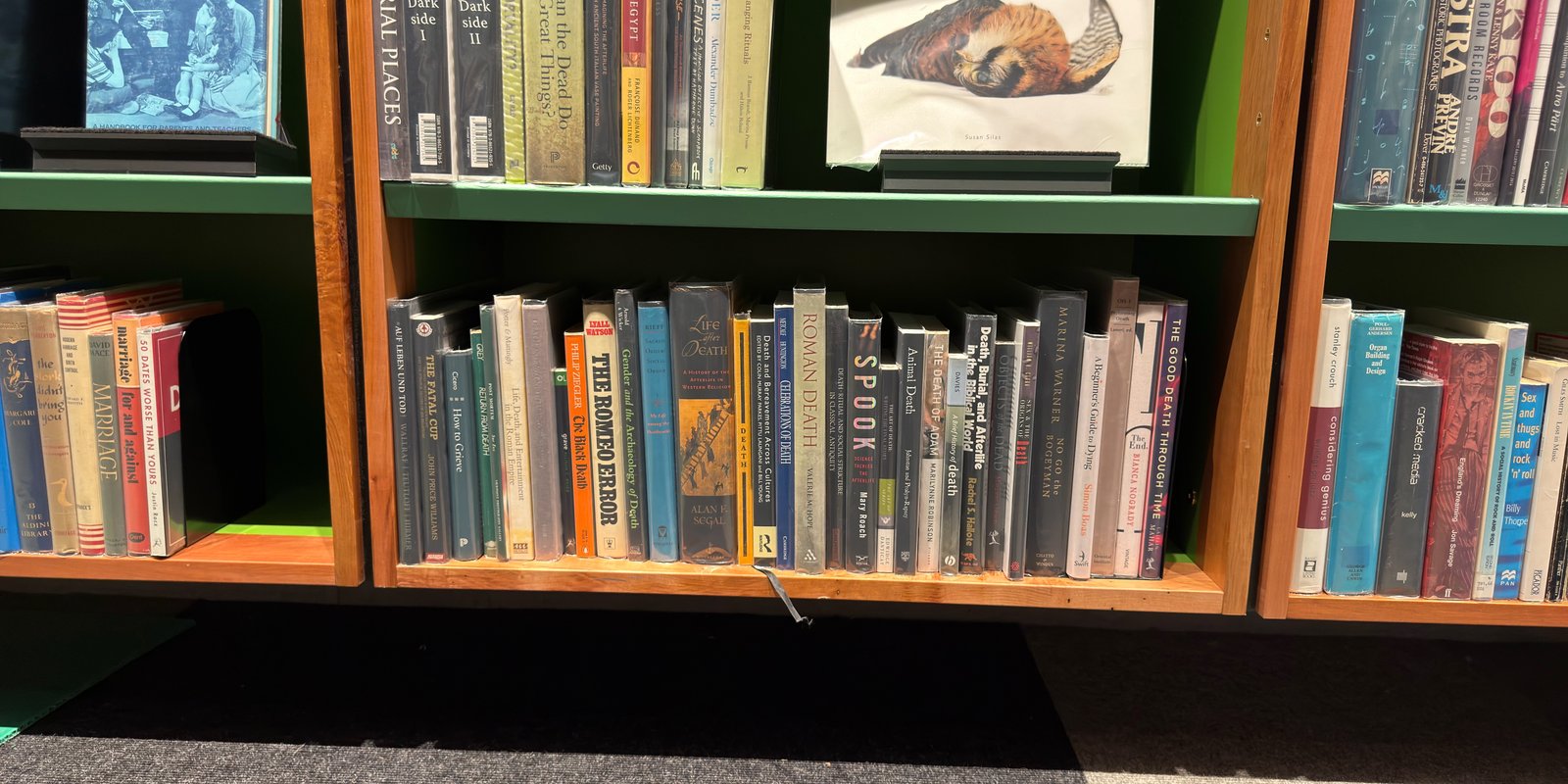 Shelfie Capture from Jun 16, 2026 2:50 PM