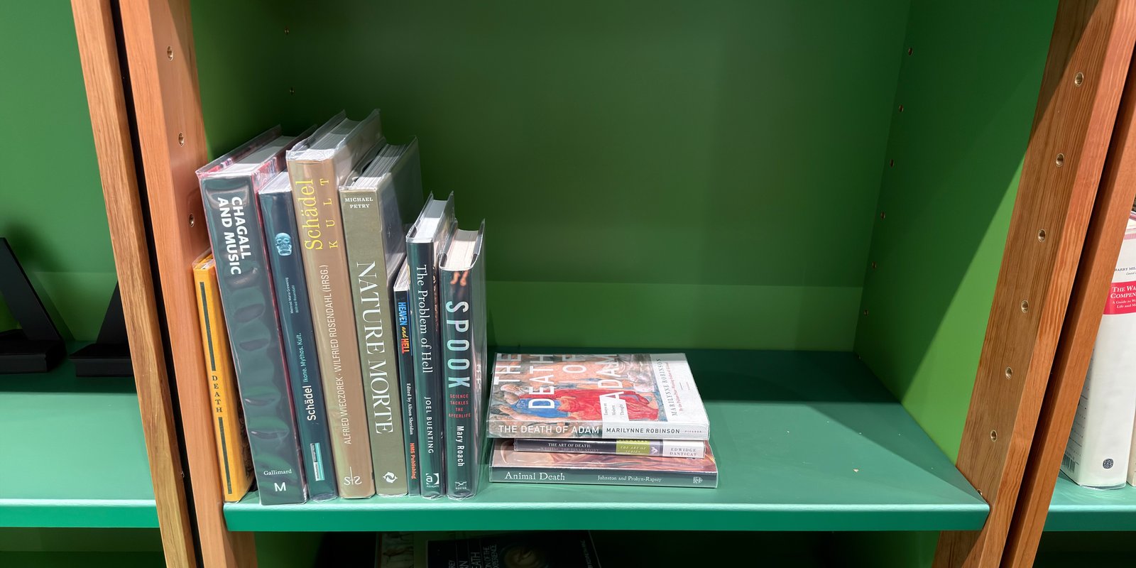 Shelfie Capture from Jun 1, 2026 3:41 PM