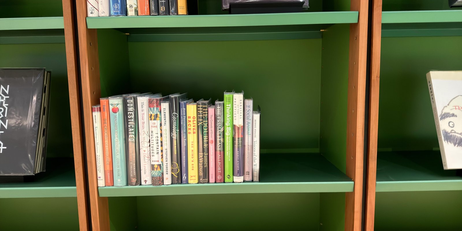 Shelfie Capture from May 11, 2026 2:33 PM