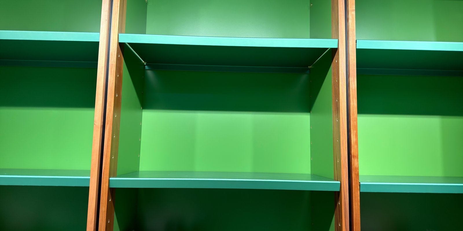 Shelfie Capture from May 11, 2026 2:38 PM