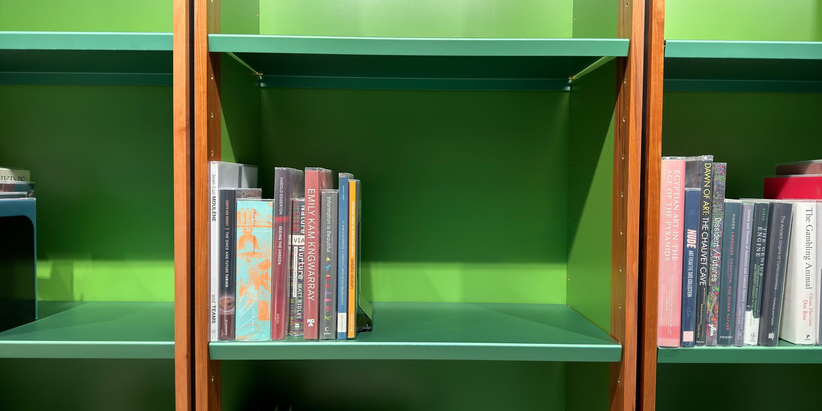 Shelfie Capture from May 11, 2026 2:38 PM