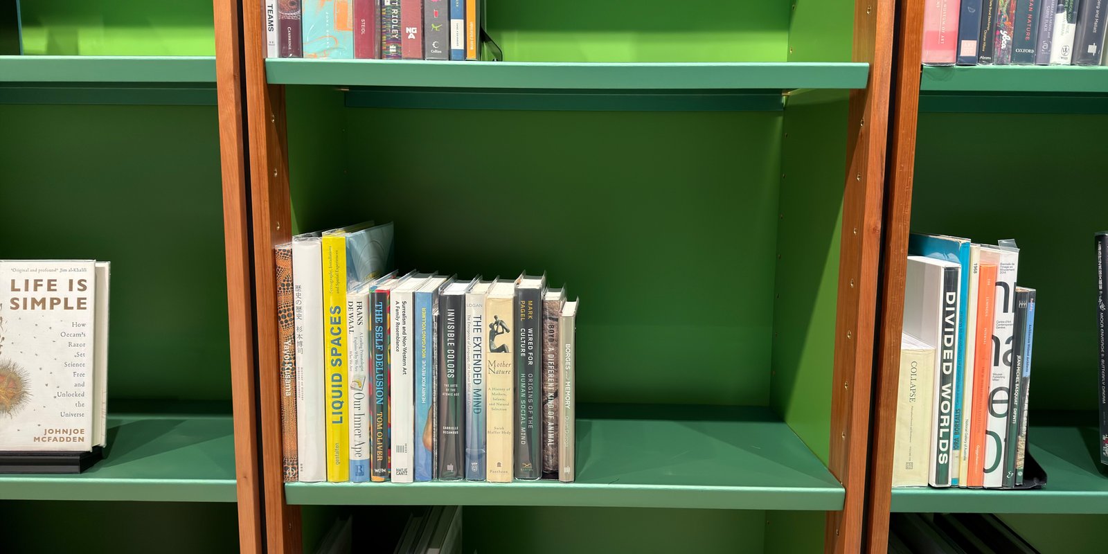 Shelfie Capture from May 11, 2026 2:38 PM