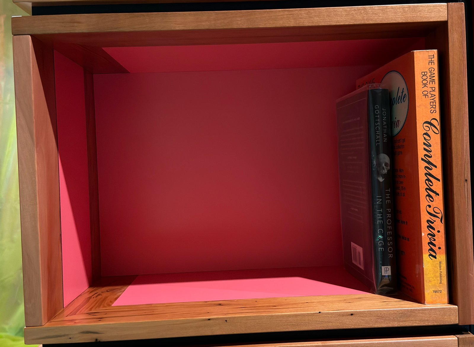 Shelfie Capture from May 27, 2026 11:09 AM
