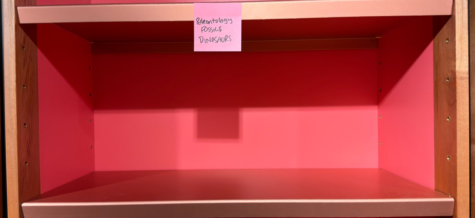 Shelfie Capture from May 27, 2026 10:54 AM