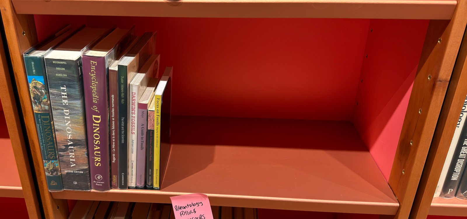 Shelfie Capture from Jun 1, 2026 4:38 PM
