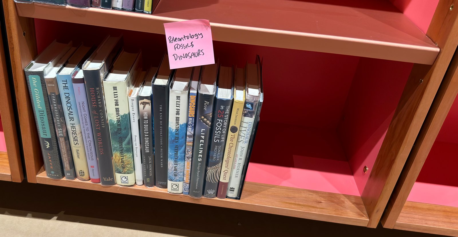 Shelfie Capture from Jun 1, 2026 4:38 PM