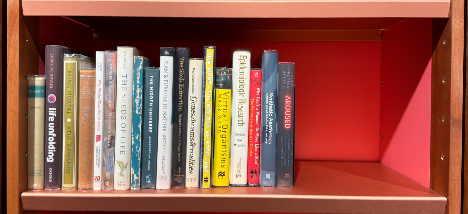 Shelfie Capture from May 27, 2026 10:54 AM