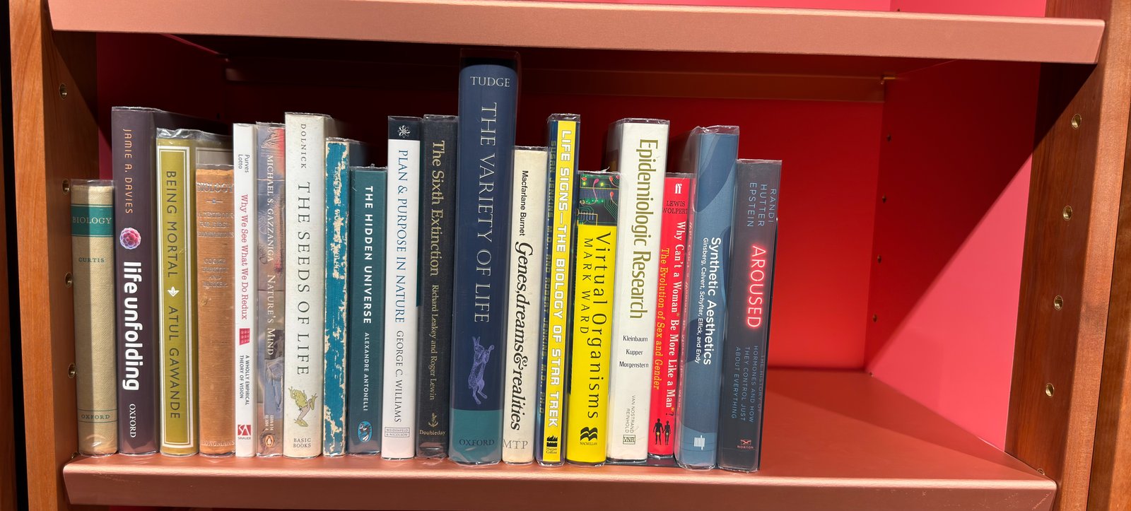 Shelfie Capture from Jun 1, 2026 4:39 PM