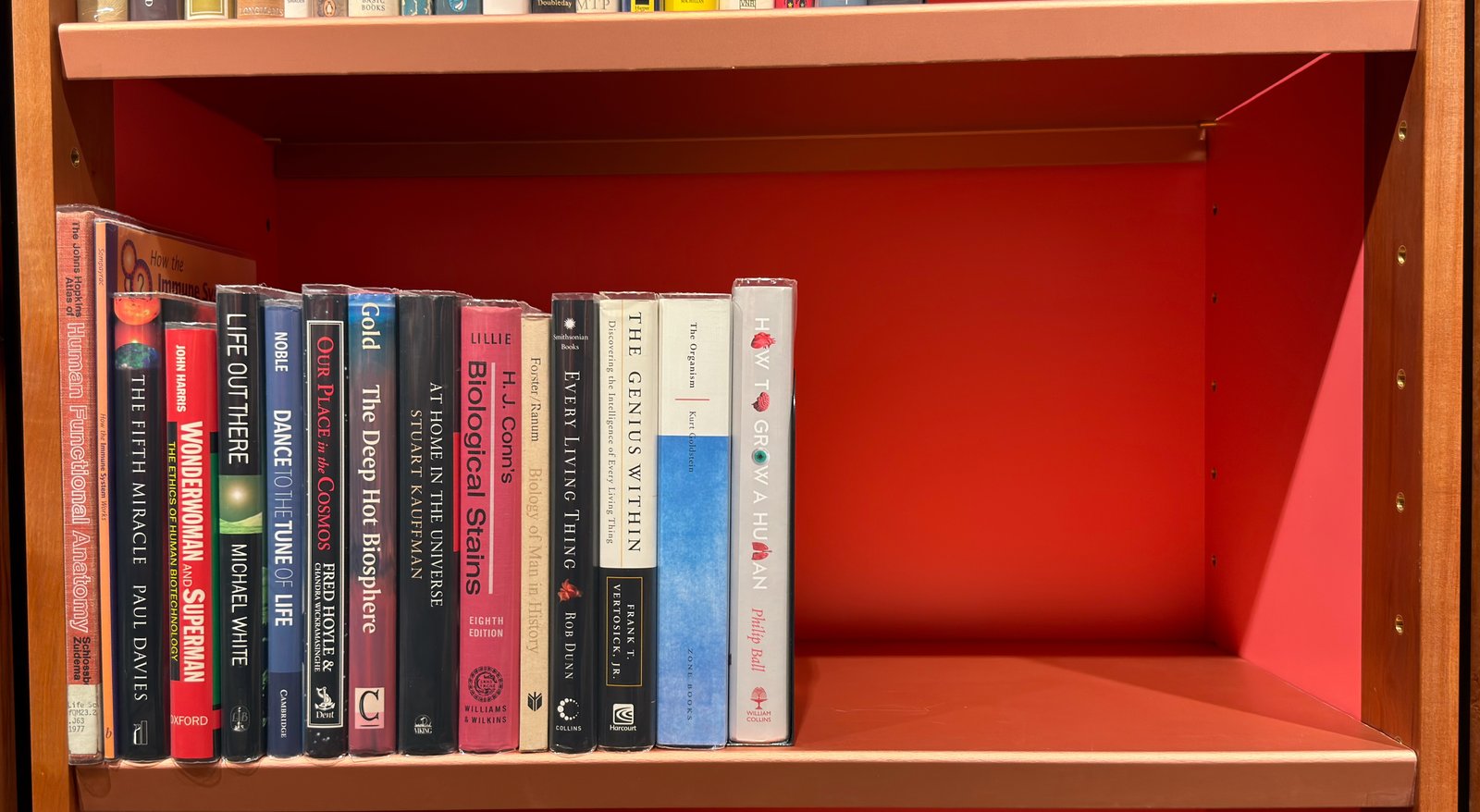 Shelfie Capture from May 27, 2026 10:54 AM