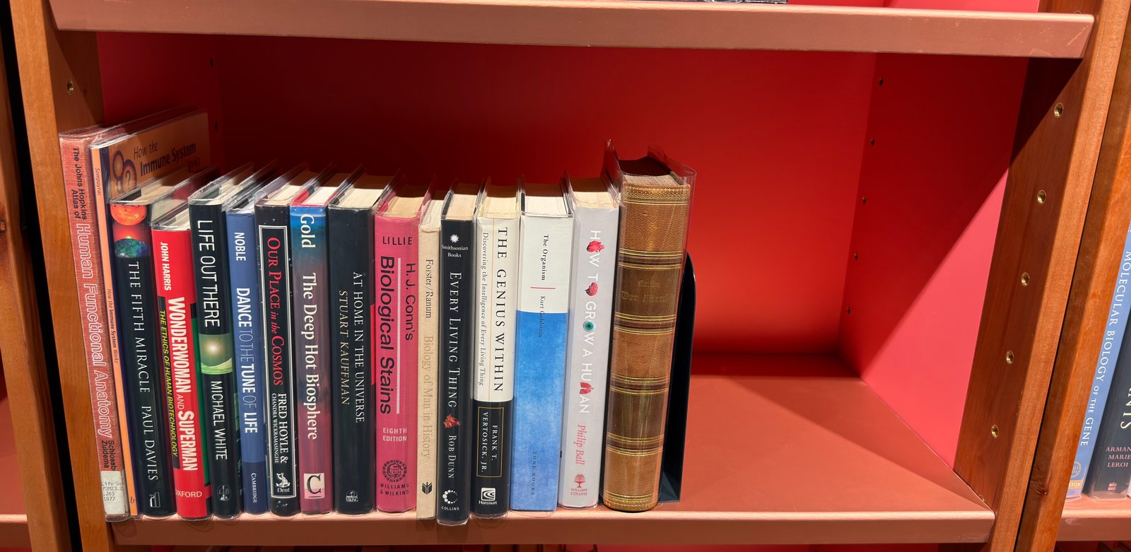 Shelfie Capture from Jun 1, 2026 4:39 PM