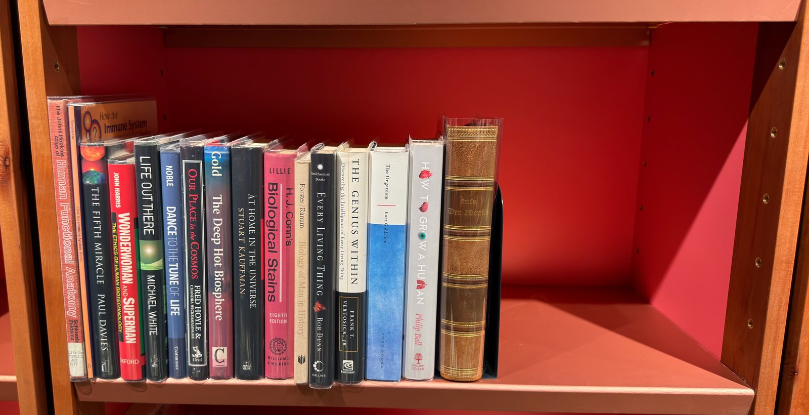 Shelfie Capture from Jun 12, 2026 2:15 PM