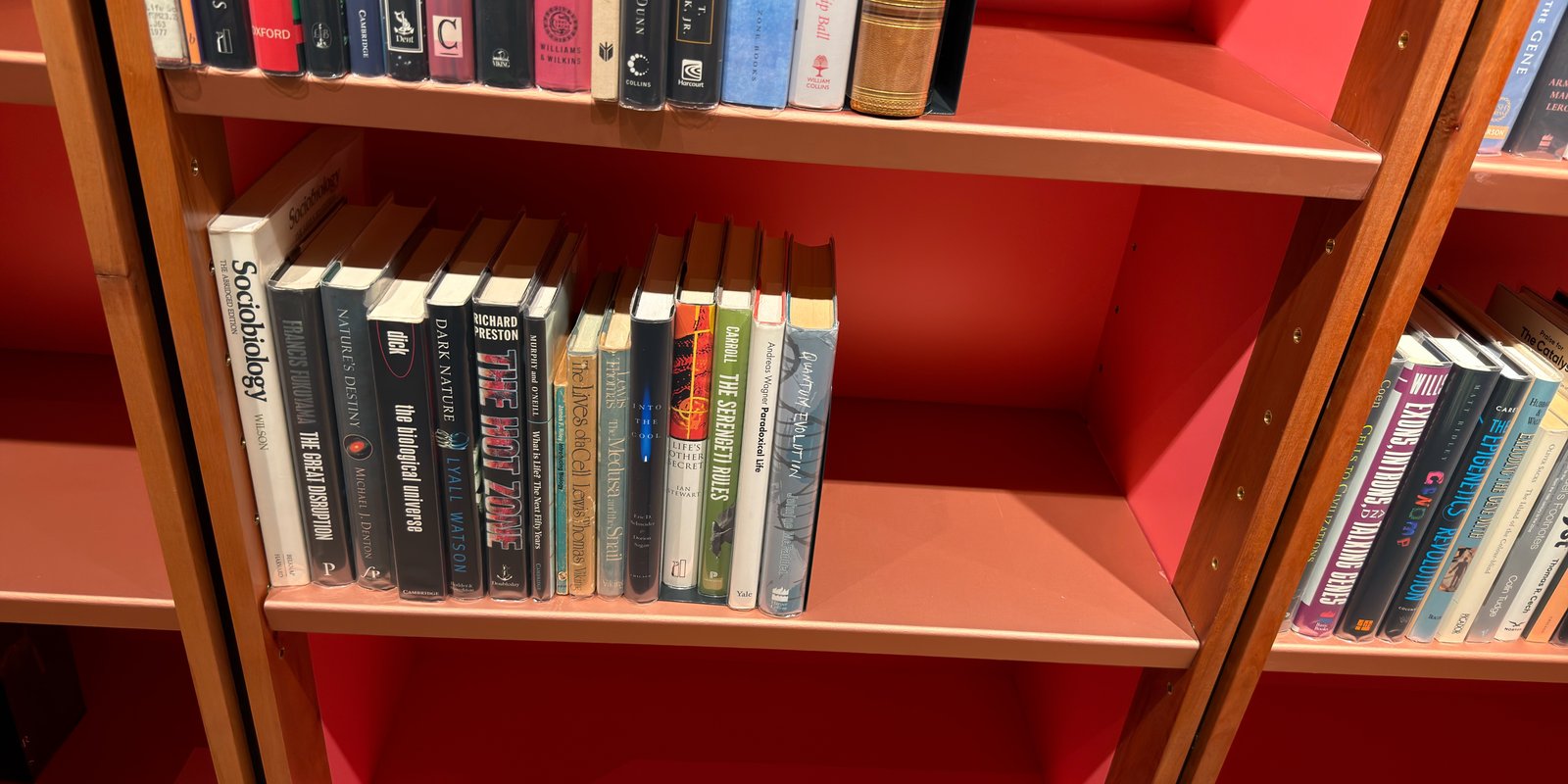 Shelfie Capture from Jun 1, 2026 4:39 PM