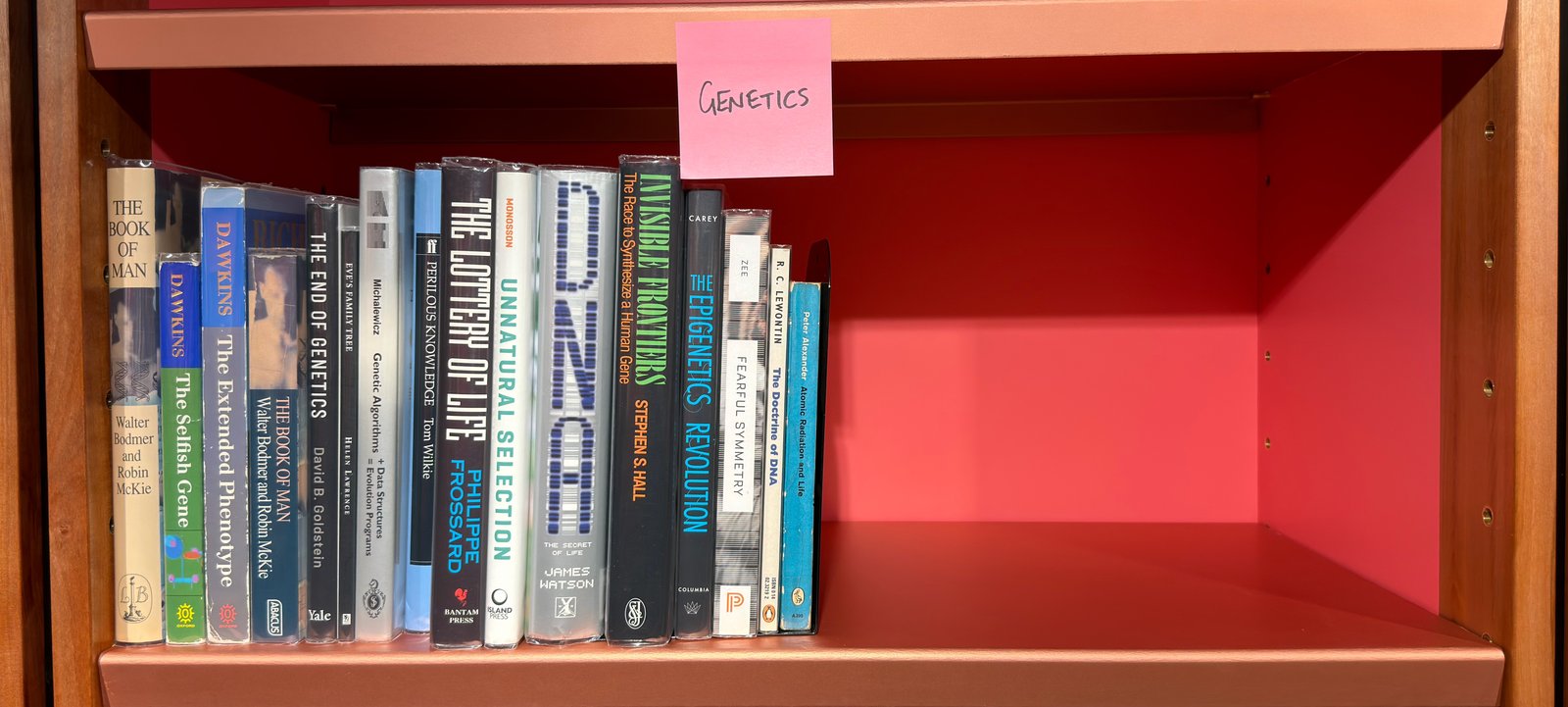 Shelfie Capture from May 27, 2026 10:54 AM