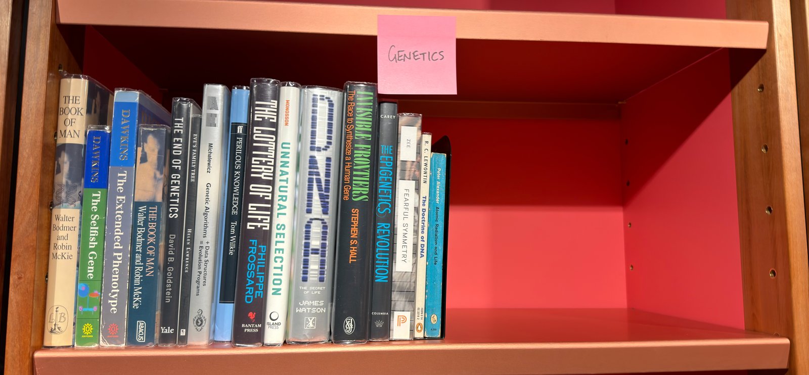 Shelfie Capture from Jun 1, 2026 4:39 PM