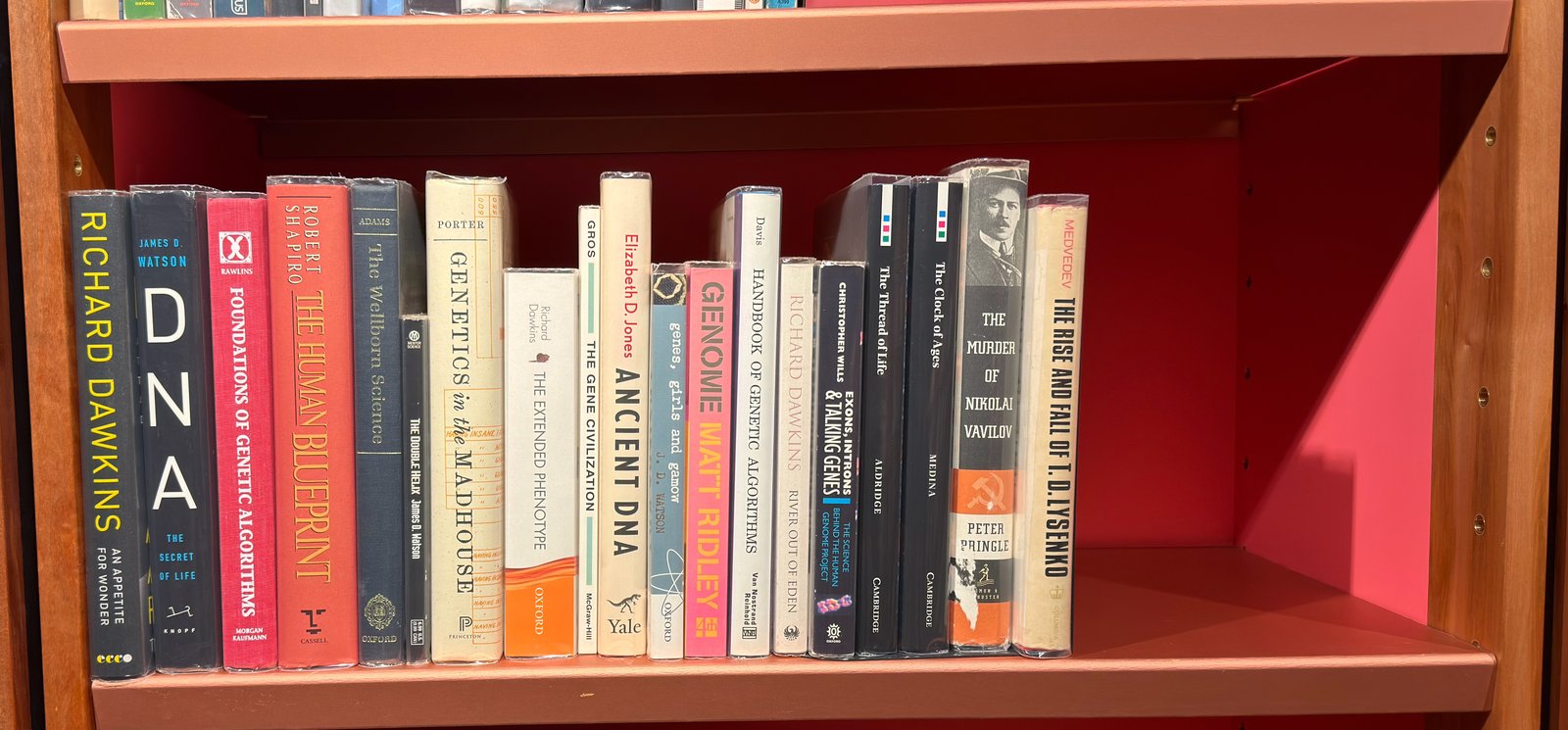 Shelfie Capture from Jun 4, 2026 12:47 PM