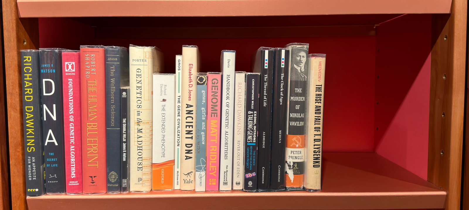 Shelfie Capture from May 27, 2026 10:54 AM