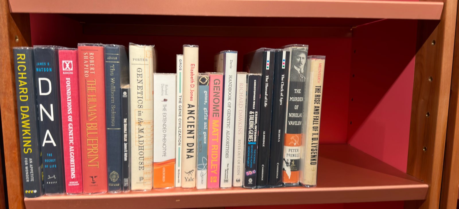 Shelfie Capture from Jun 1, 2026 4:39 PM