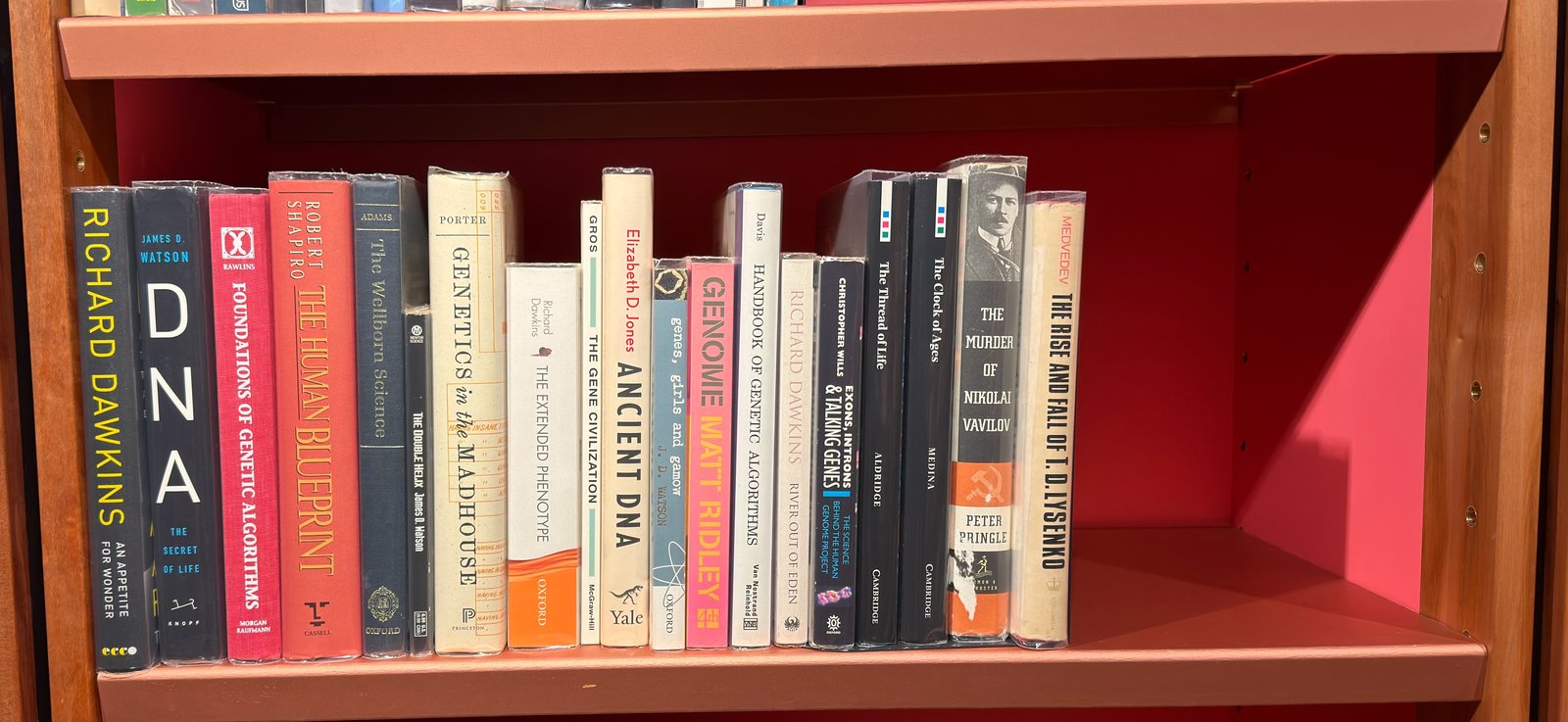 Shelfie Capture from Jun 4, 2026 12:47 PM