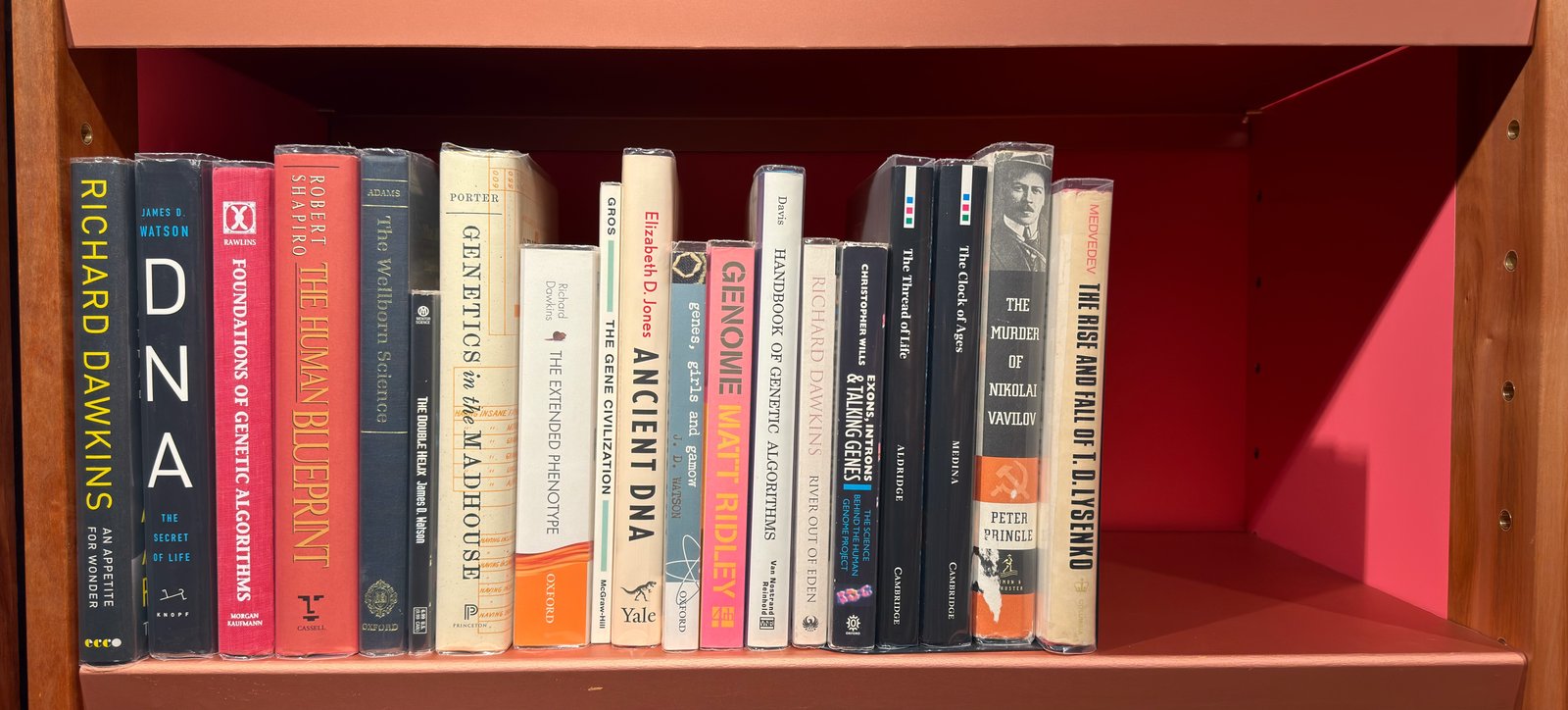 Shelfie Capture from Jun 4, 2026 12:48 PM