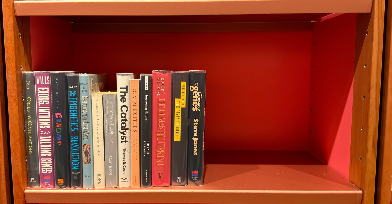 Shelfie Capture from May 27, 2026 10:55 AM