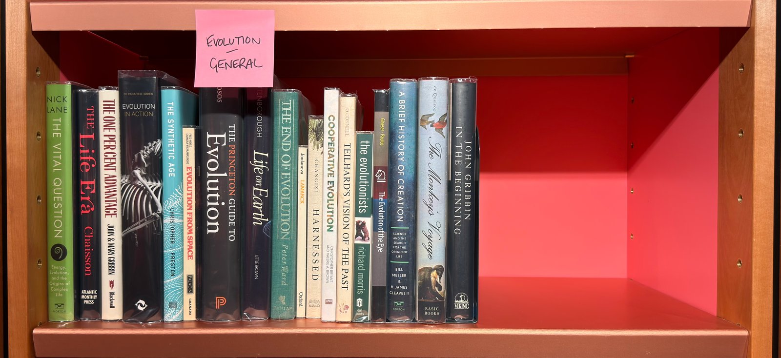 Shelfie Capture from May 27, 2026 10:55 AM