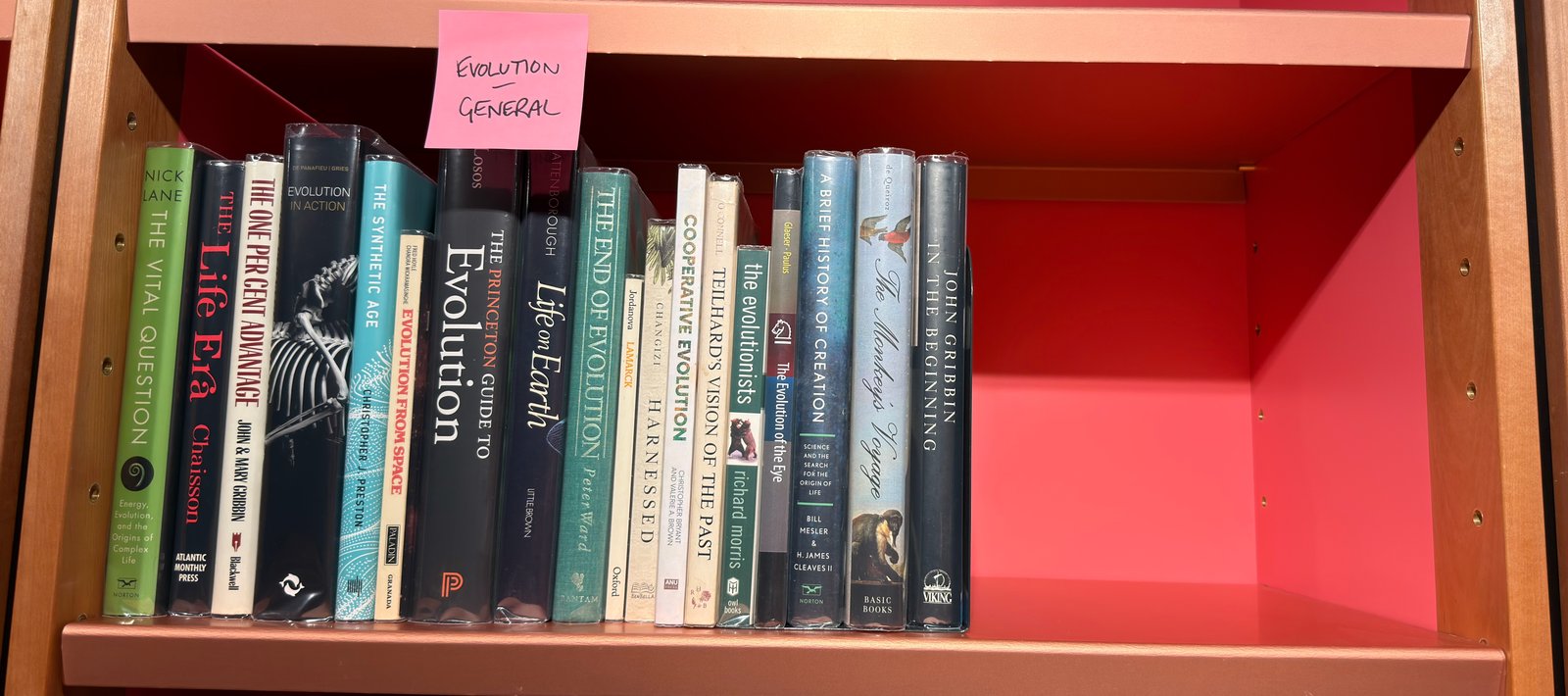 Shelfie Capture from Jun 1, 2026 4:39 PM