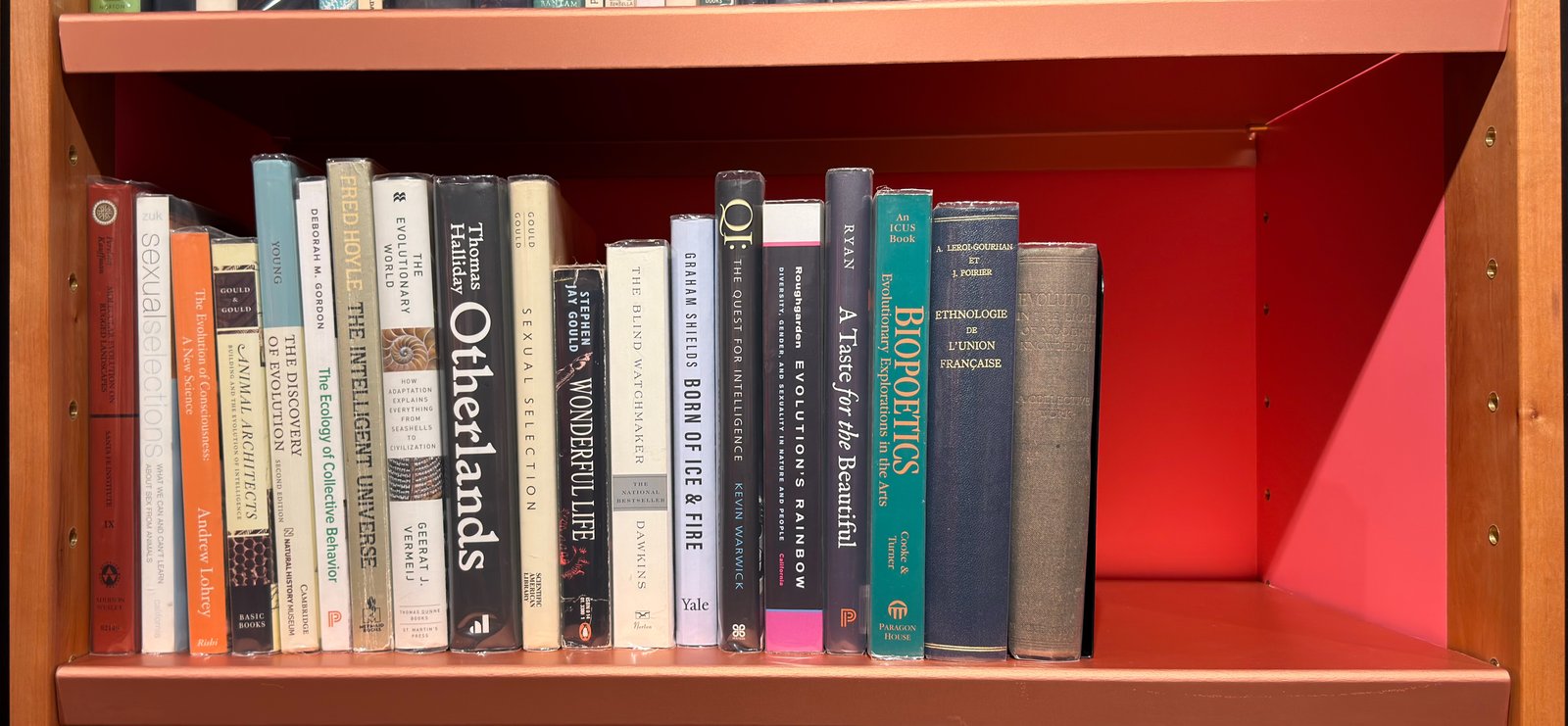 Shelfie Capture from May 27, 2026 10:55 AM
