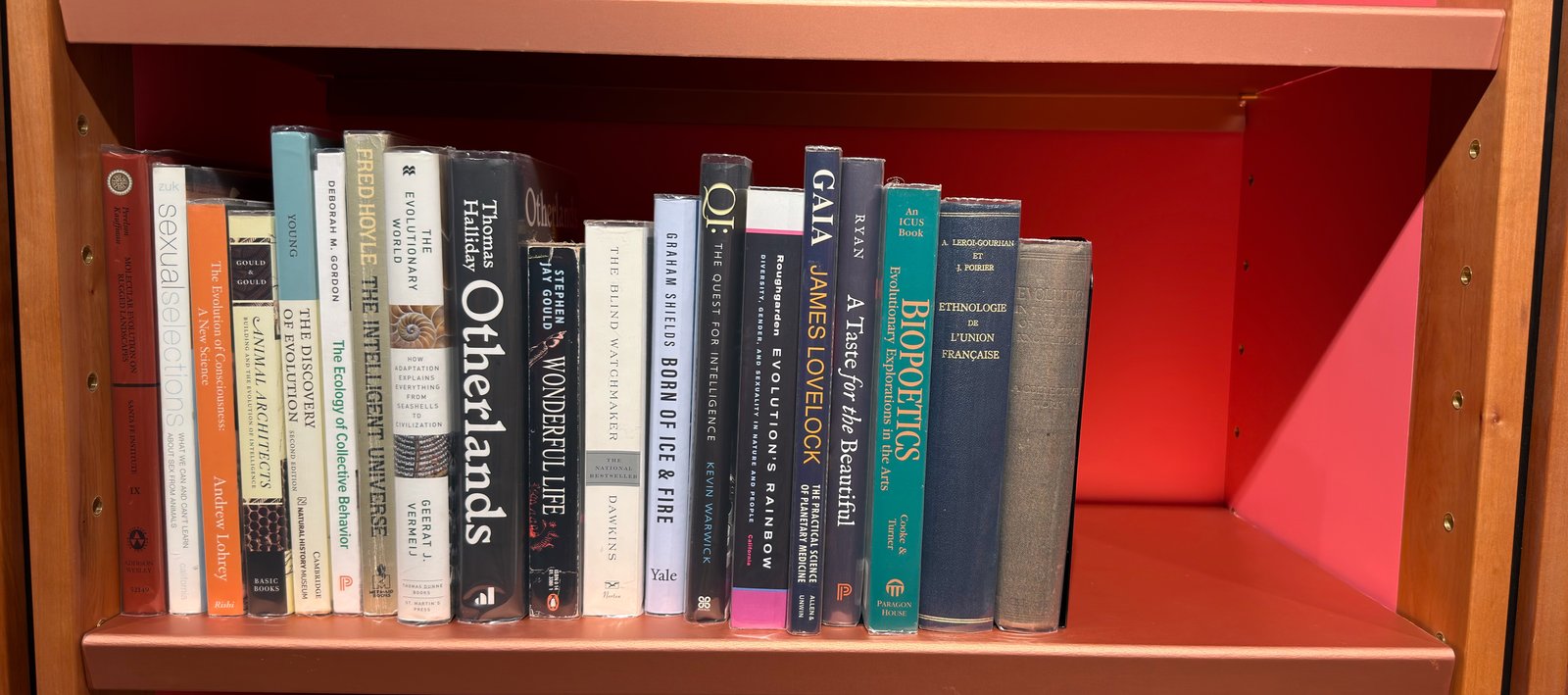 Shelfie Capture from Jun 1, 2026 4:40 PM